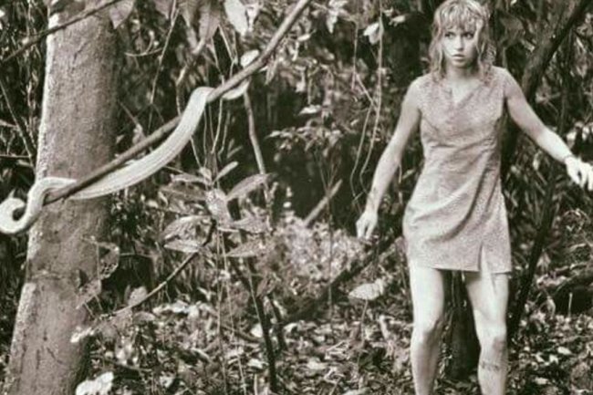 Miracle dans la forêt amazonienne : L'incroyable histoire de Juliane Koepcke, la seule survivante du Crash d'avion de 1971.