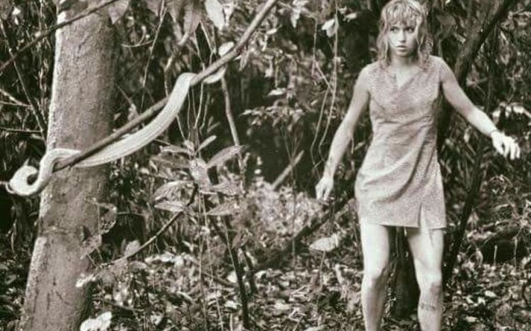 Miracle dans la forêt amazonienne : L'incroyable histoire de Juliane Koepcke, la seule survivante du Crash d'avion de 1971.